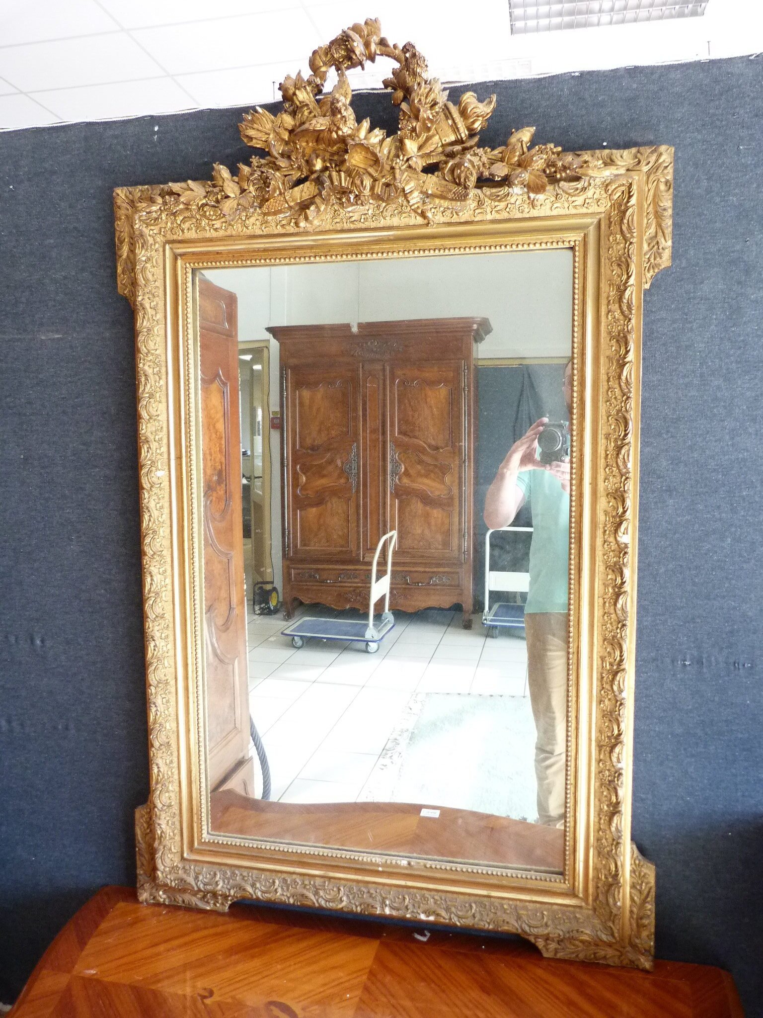 Lot 241